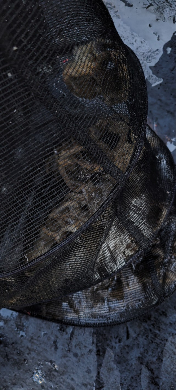 예지퀸호 농어외수질&어초낚시 경기인천권_사진_20251113_10.jpg