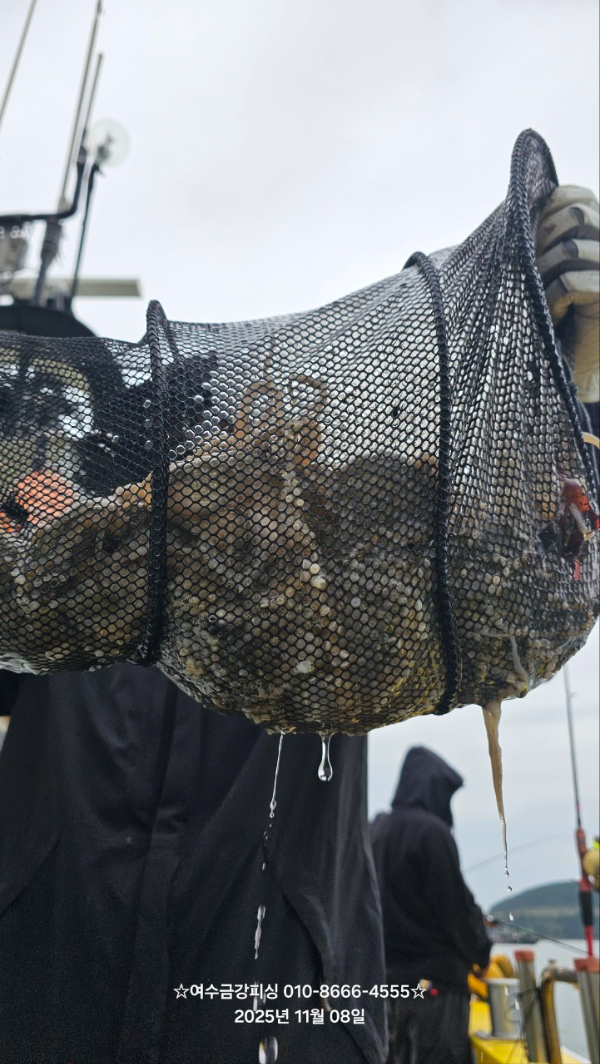 여수금강피싱_사진_20251108_4.jpg