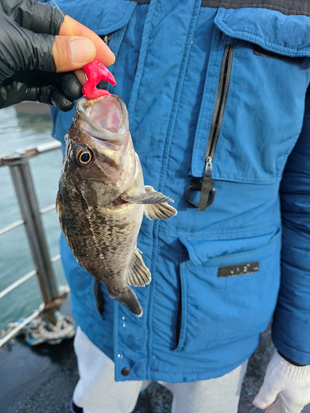 인천바다낚시 (33).jpg