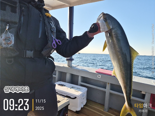 2025-11-15 09.23.06_.jpg