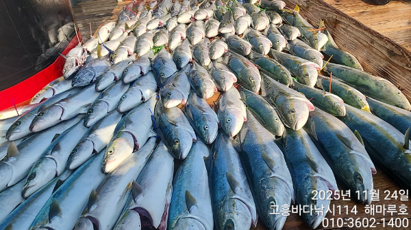 TimeVideo_20251124_112655 10명 (10).jpg