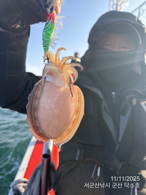 군산 선상낚시, 바다낚시 출조 전문 ☆서군산낚시☆_사진_20251111_14.jpg