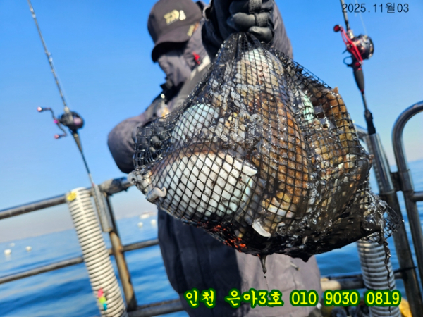 11월03 3호 (27).jpg