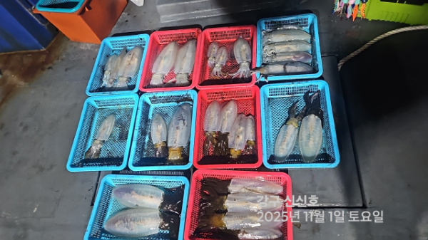 신신낚시 강구점 신신호_사진_20251102_6.jpg