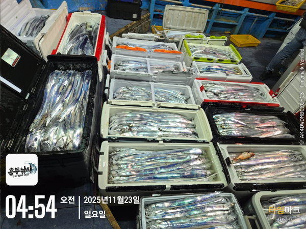 2025-11-23 04.54.02_.jpg