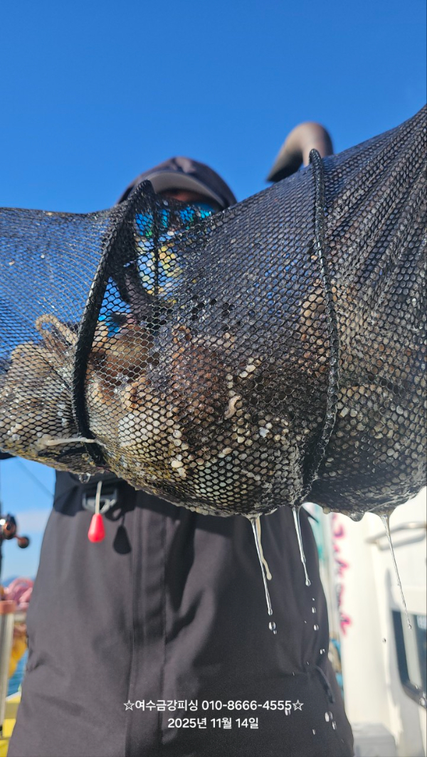 여수금강피싱_사진_20251115_8.jpg