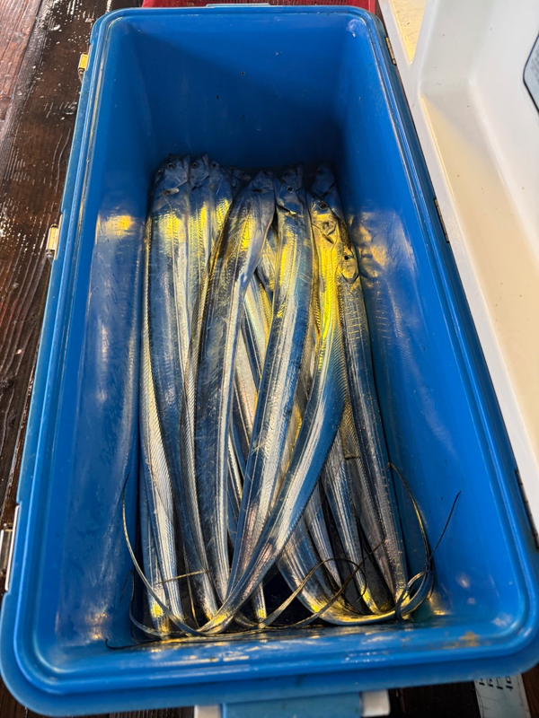 제주 쏘니호_사진_20251110_3.jpg