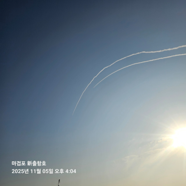 ꫛꫀꪝ✧‧˚ 태안 마검포 新출항호 .• _˚☀₊_사진_20251106_1.jpg