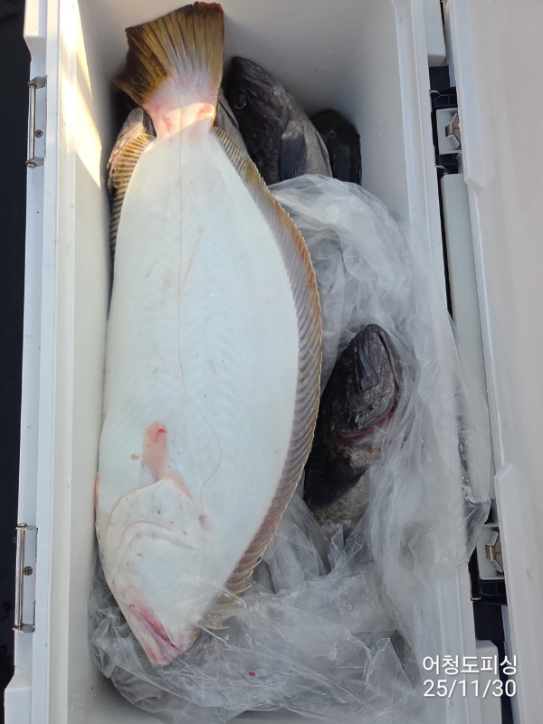 최강피싱 063.463.0800_사진_20251130_29.jpg