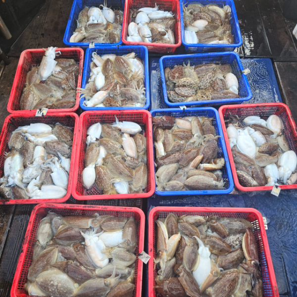 마검포 대한호(VIP)_사진_20251111_4.jpg