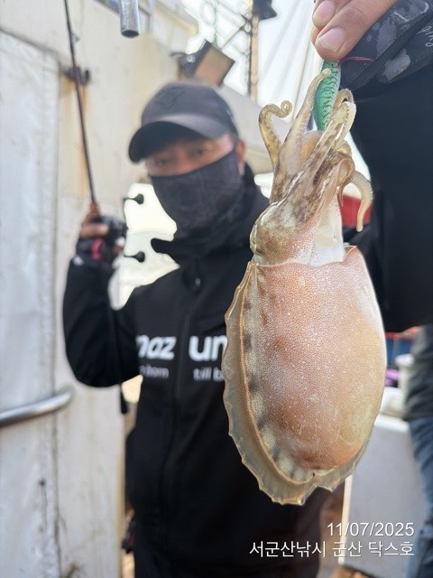 군산 선상낚시, 바다낚시 출조 전문 ☆서군산낚시☆_사진_20251107_12.jpg