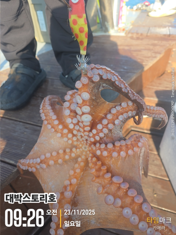 2025-11-23 09.26.54__(대박스토리호).jpg