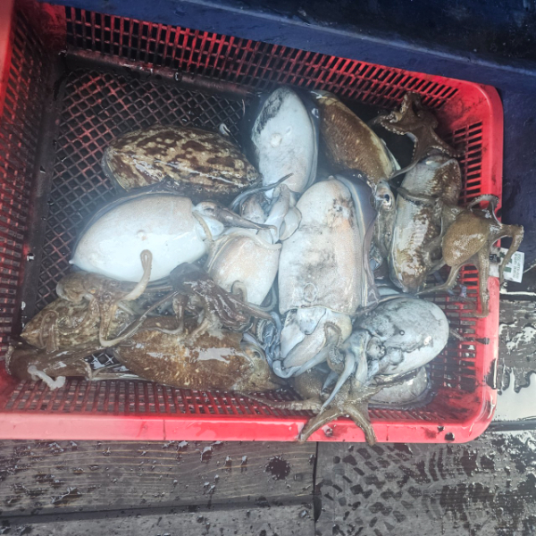 마검포 대한호(VIP)_사진_20251114_5.jpg