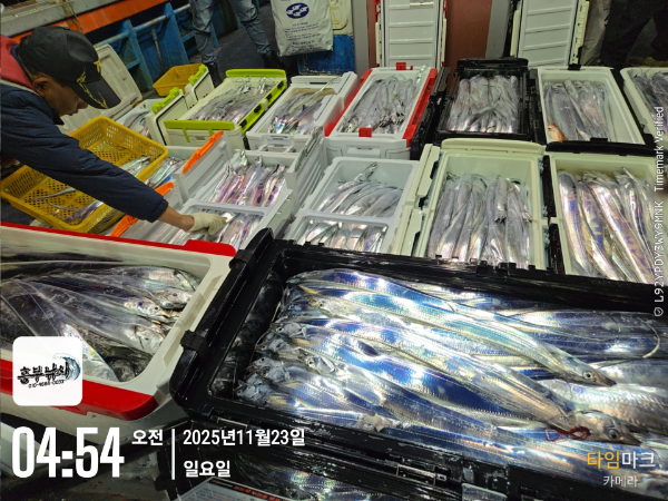 2025-11-23 04.54.58_.jpg