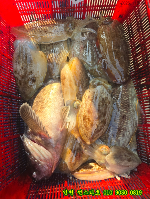 11월06 썬 (13).jpg