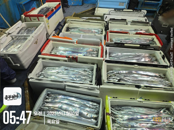 2025-11-20 05.47.30_.jpg