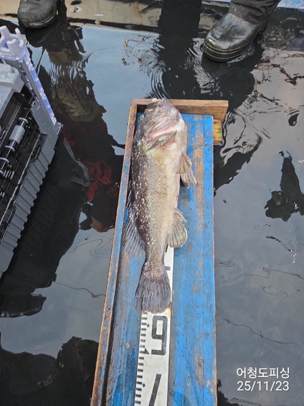 최강피싱 063.463.0800_사진_20251123_3.jpg