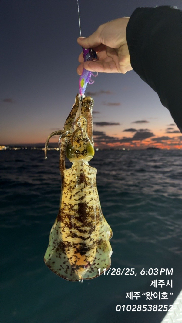 제주왔어호_사진_20251130_20.jpg