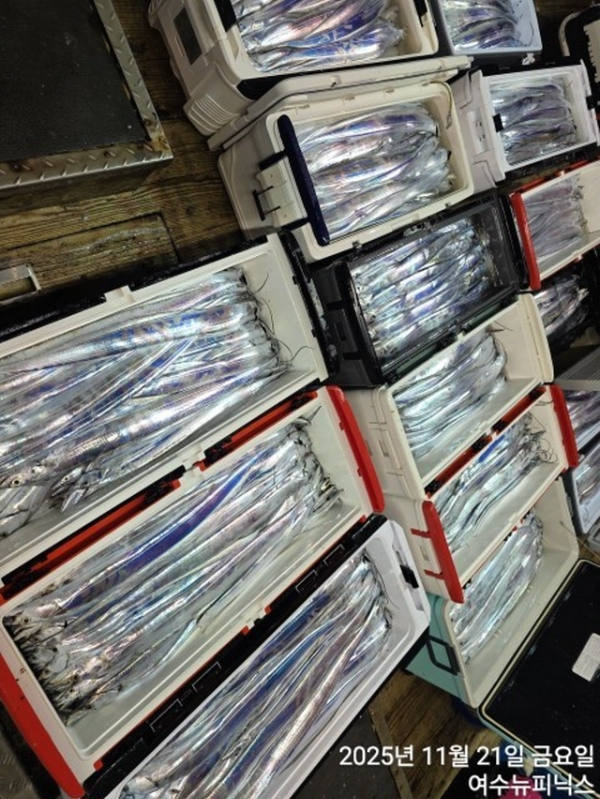 20911월21일왕갈치 (37).jpg