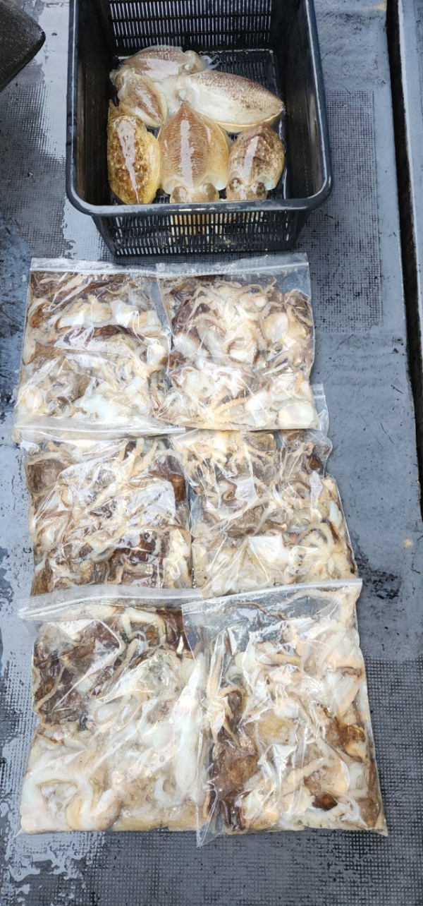 예지퀸호 농어외수질&어초낚시 경기인천권_사진_20251031_19.jpg