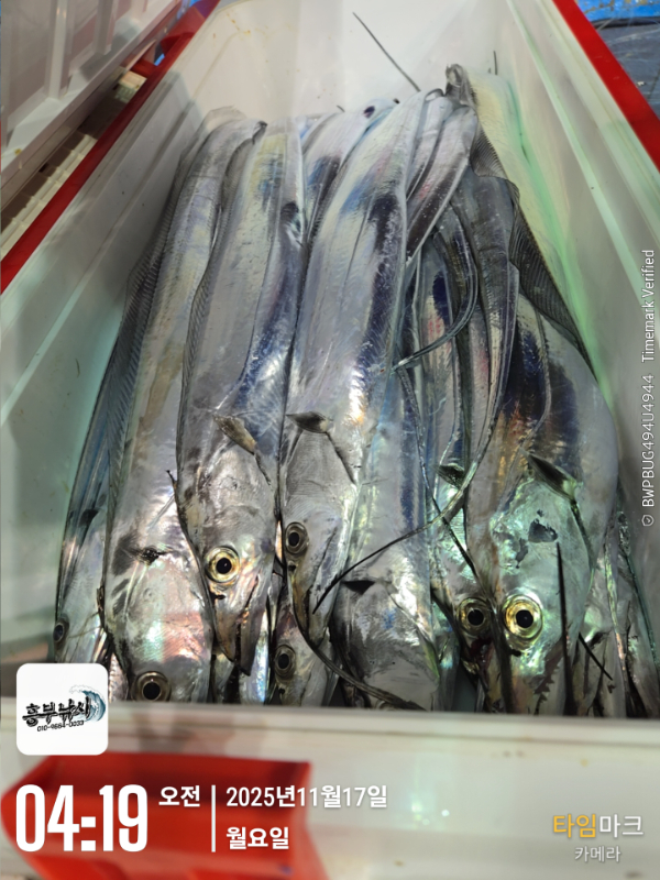 2025-11-17 04.19.14_.jpg