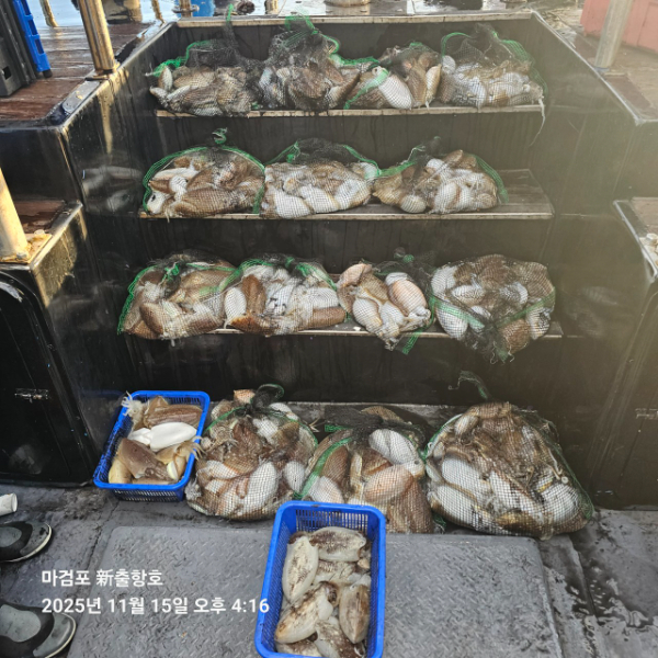 ꫛꫀꪝ✧‧˚ 태안 마검포 新출항호 .• _˚☀₊_사진_20251115_5.jpg