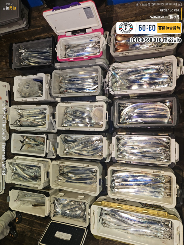 2025-11-23 03.09.11_Japan_(제목-뉴블루마린호)_(예약전화 010 8924 3131).jpg