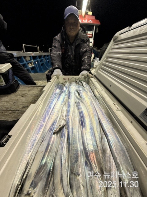 20911월30일갈치 (10).jpg