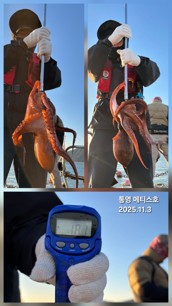 통영 메티스호_사진_20251104_2.jpg