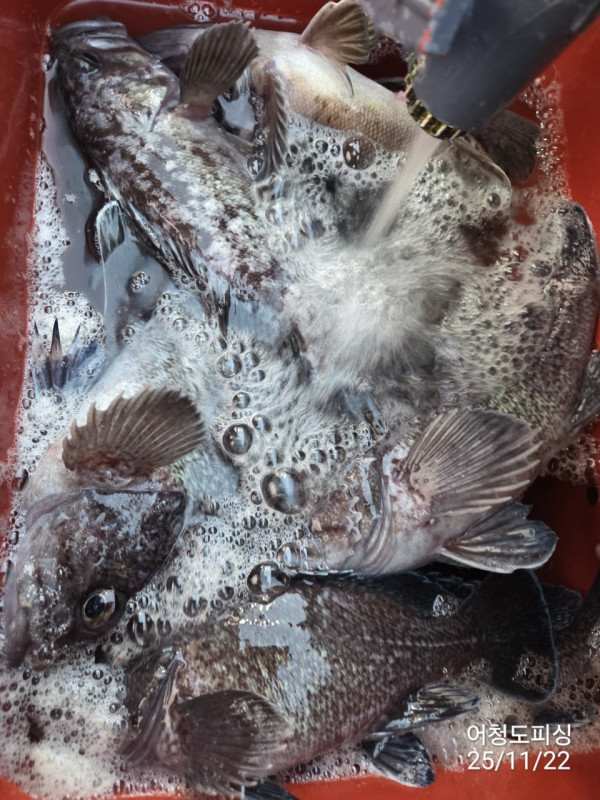 최강피싱 063.463.0800_사진_20251122_28 - 복사본.jpg