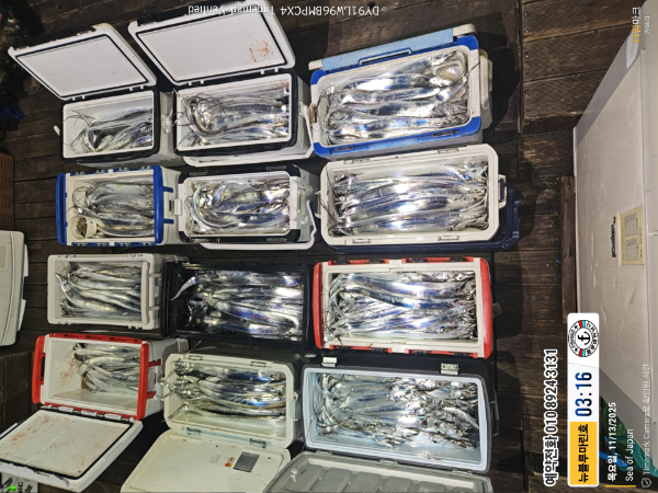 2025-11-13 03.16.20_Japan_(제목-뉴블루마린호)_(예약전화 010 8924 3131).jpg