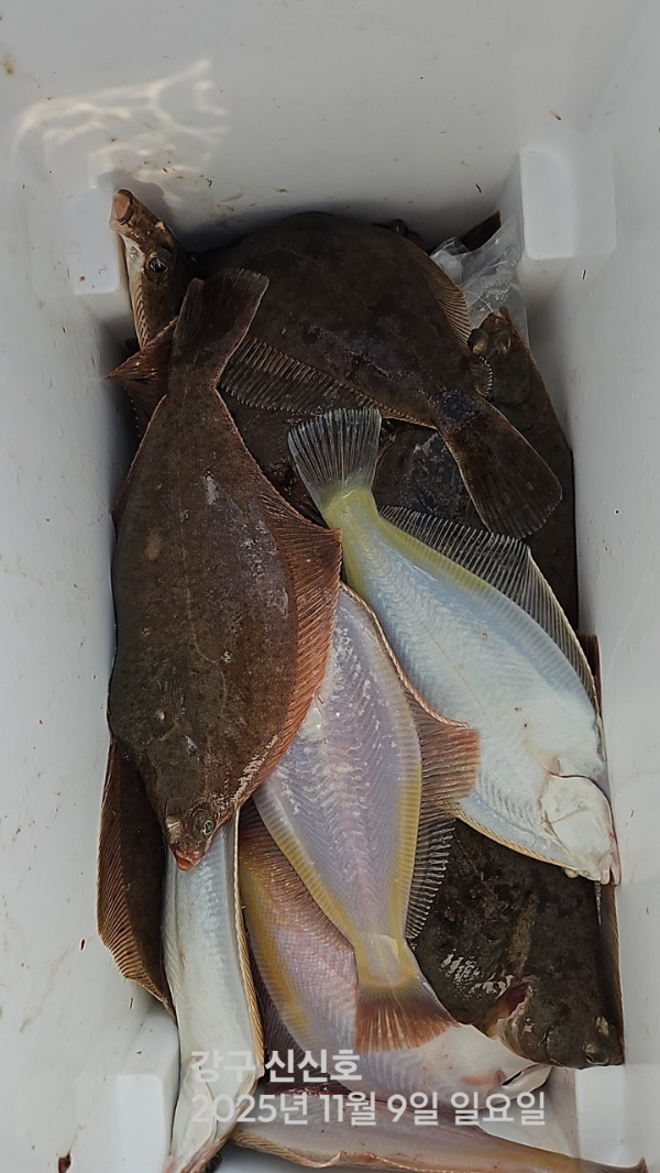 신신낚시 강구점 신신호_사진_20251109_13.jpg