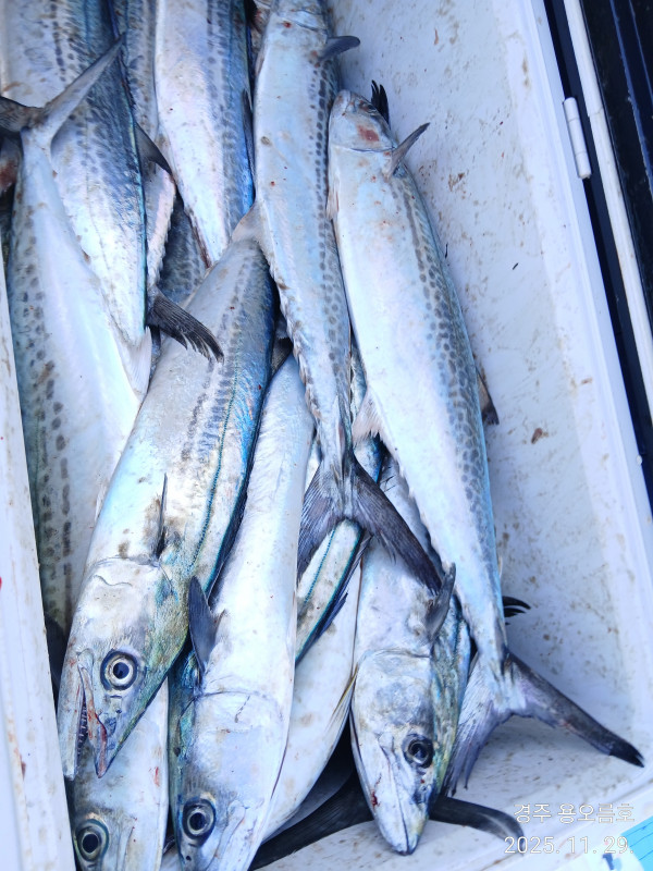 KakaoTalk_20251129_162313989_01 (1).jpg