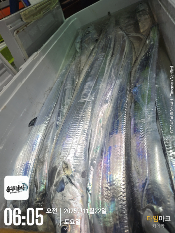 2025-11-22 06.05.50_.jpg