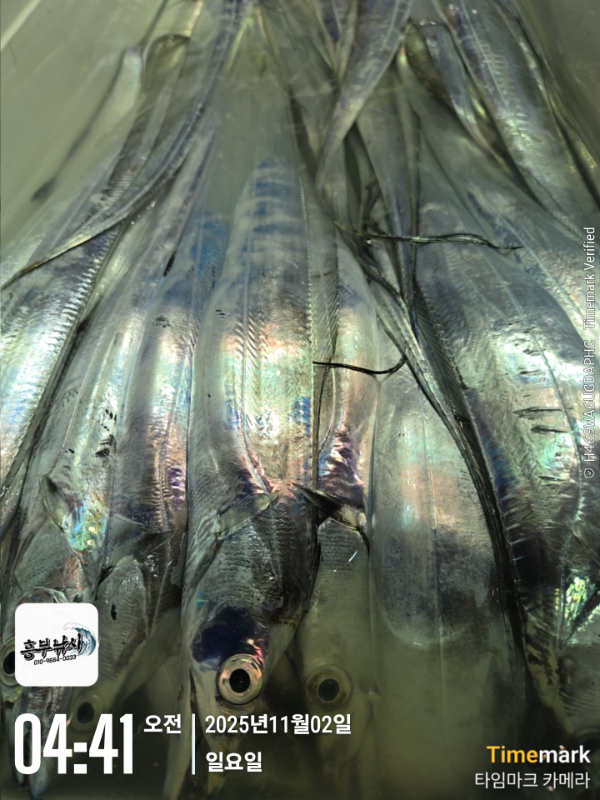 2025-11-02 04.41.04_.jpg