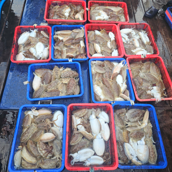 마검포 대한호(VIP)_사진_20251111_5.jpg