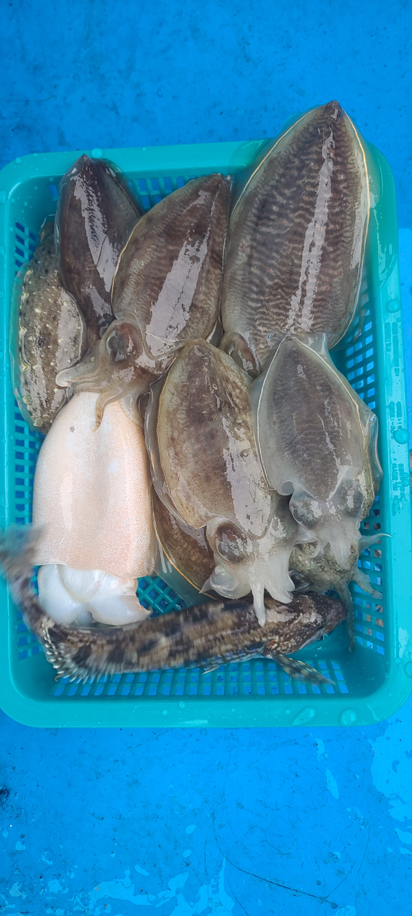 20251031_153505 - 복사본.jpg