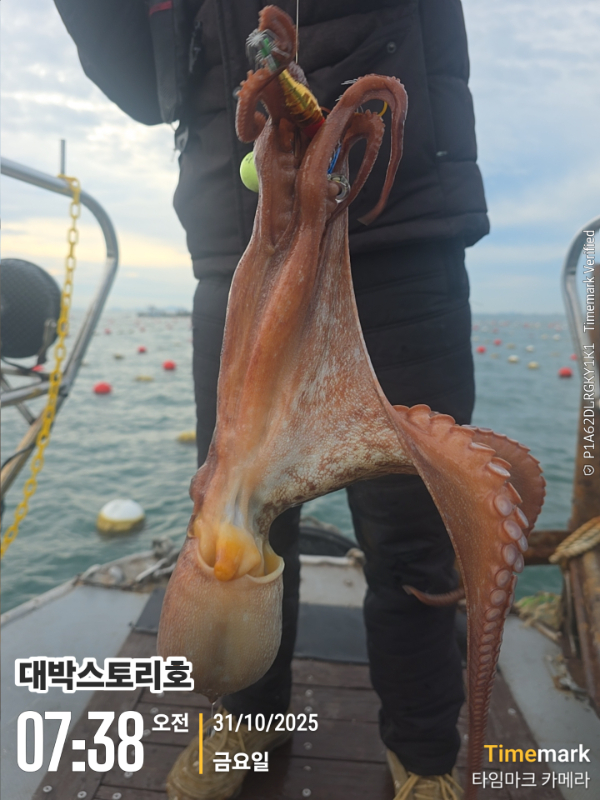 2025-10-31 07.38.58__(대박스토리호).jpg