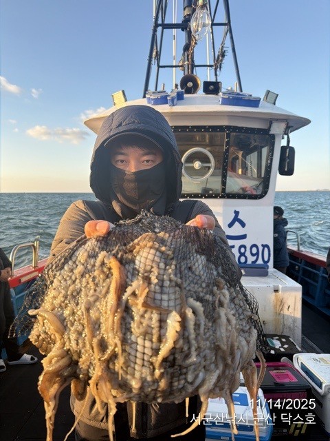 군산 선상낚시, 바다낚시 출조 전문 ☆서군산낚시☆_사진_20251114_10.jpg