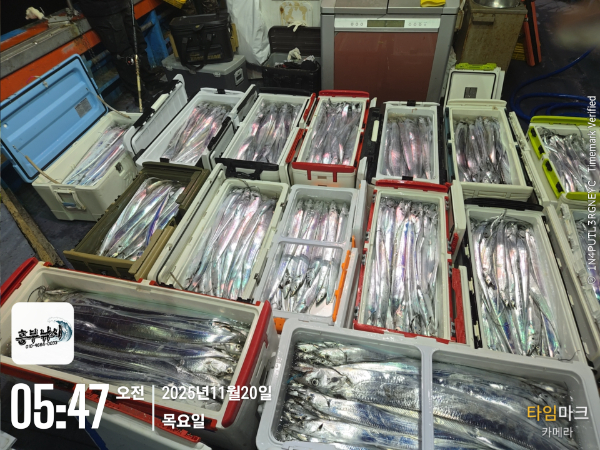 2025-11-20 05.47.42_.jpg