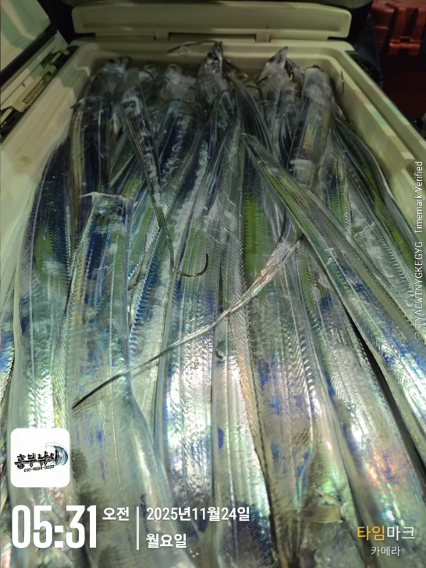 2025-11-24 05.31.45_.jpg