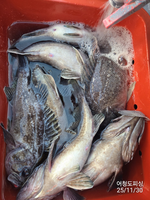 최강피싱 063.463.0800_사진_20251130_22.jpg