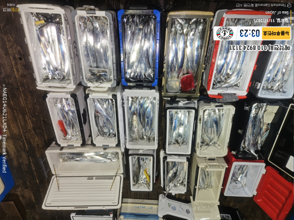 2025-11-17 03.23.30_Japan_(제목-뉴블루마린호)_(예약전화 010 8924 3131).jpg