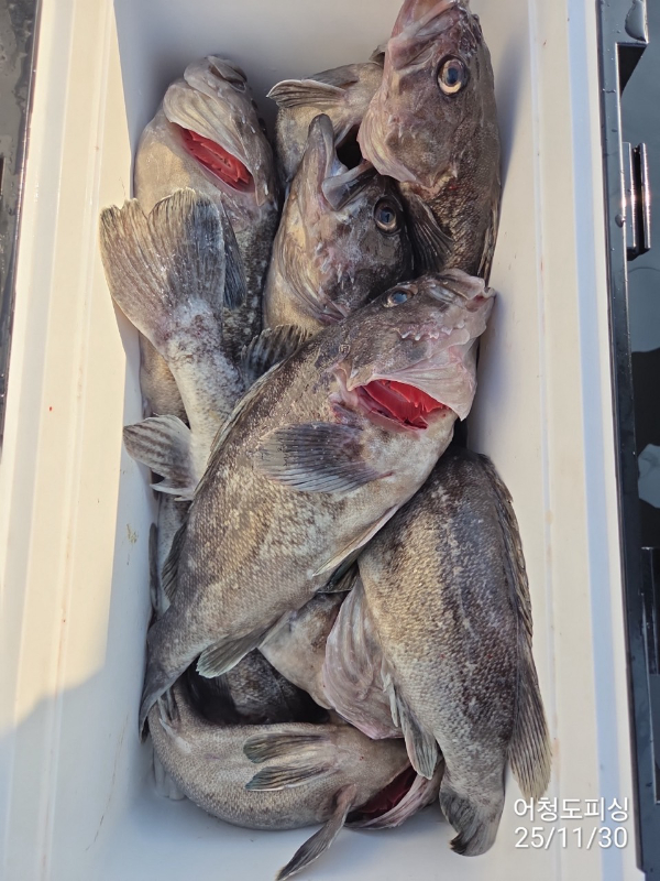 최강피싱 063.463.0800_사진_20251130_25.jpg