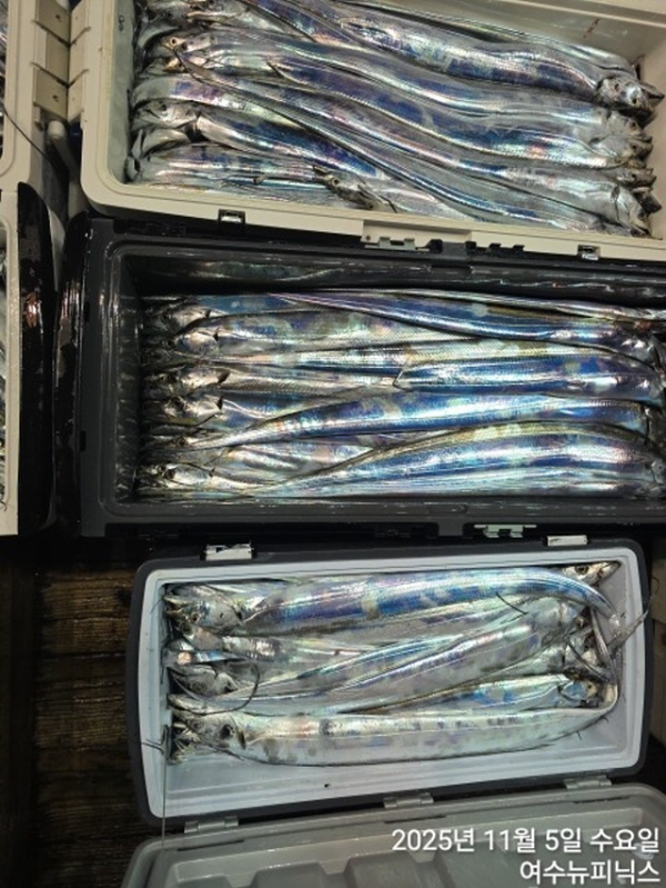 5일왕갈치 (2).jpg