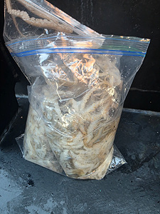 인천쭈꾸미낚시 (28).jpg