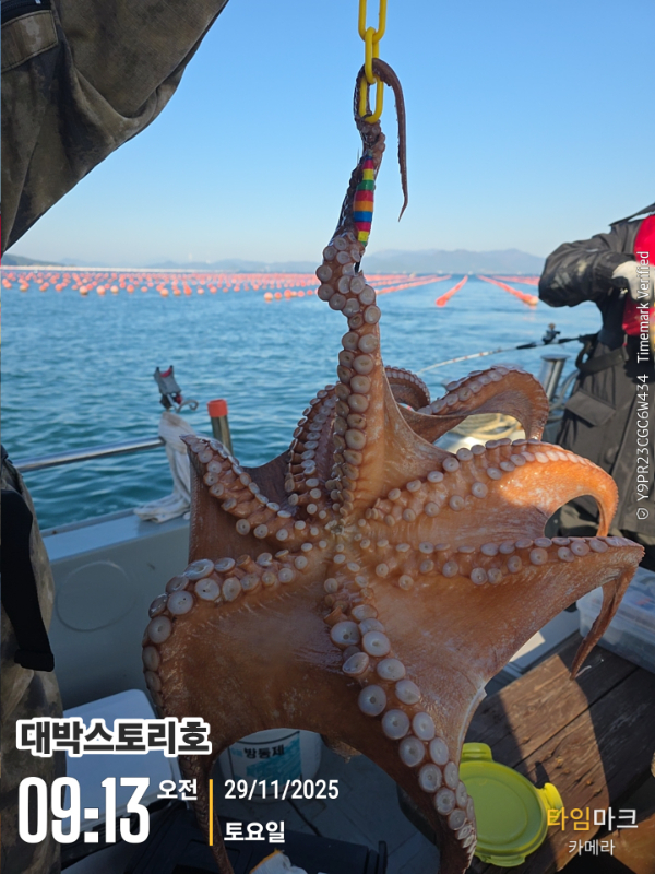 2025-11-29 09.13.29__(대박스토리호).jpg