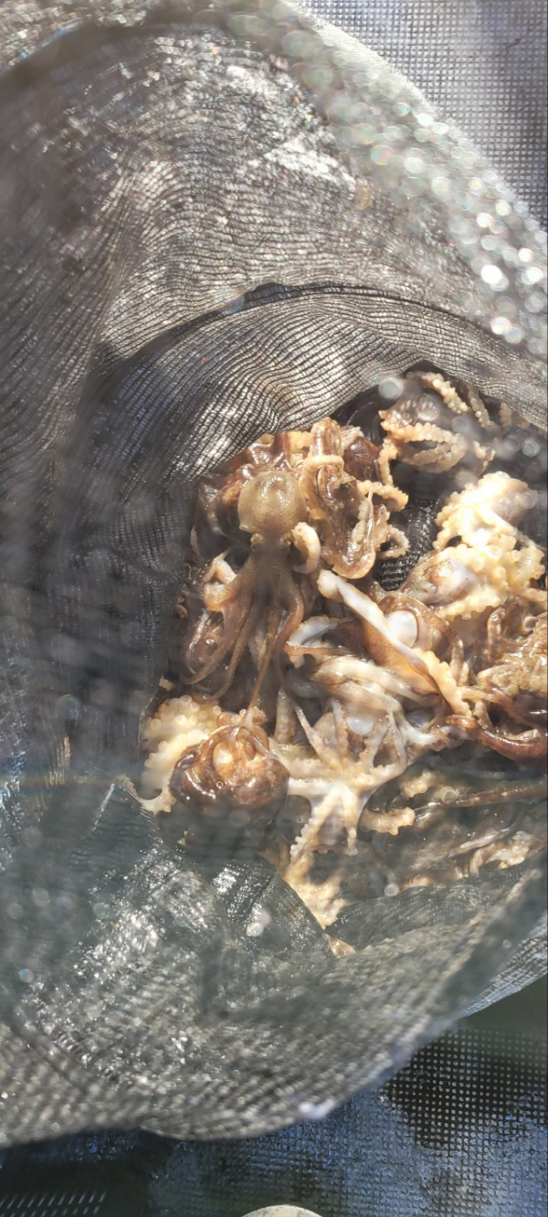 예지퀸호 농어외수질&어초낚시 경기인천권_사진_20251112_15.jpg