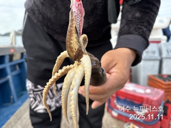 11월11일왕쭈 (19).jpg