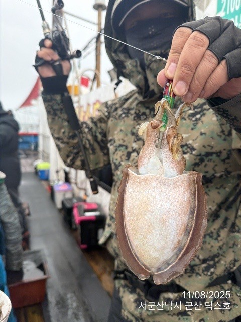 군산 선상낚시, 바다낚시 출조 전문 ☆서군산낚시☆_사진_20251108_20.jpg